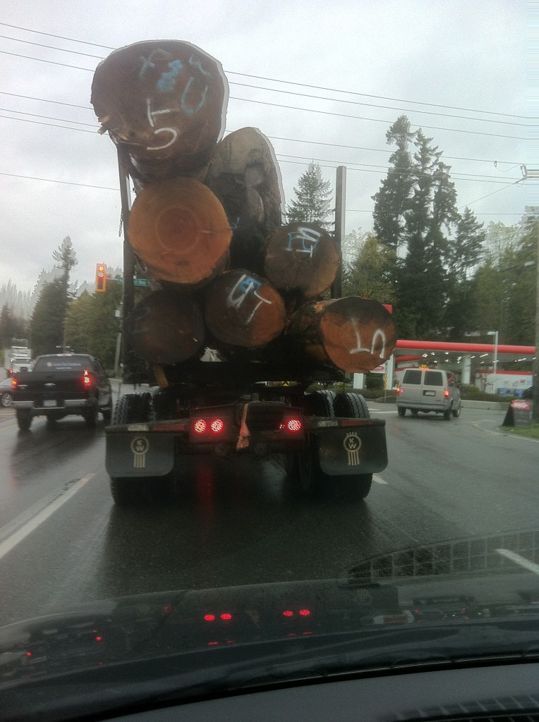 Vancouver Island highway scene