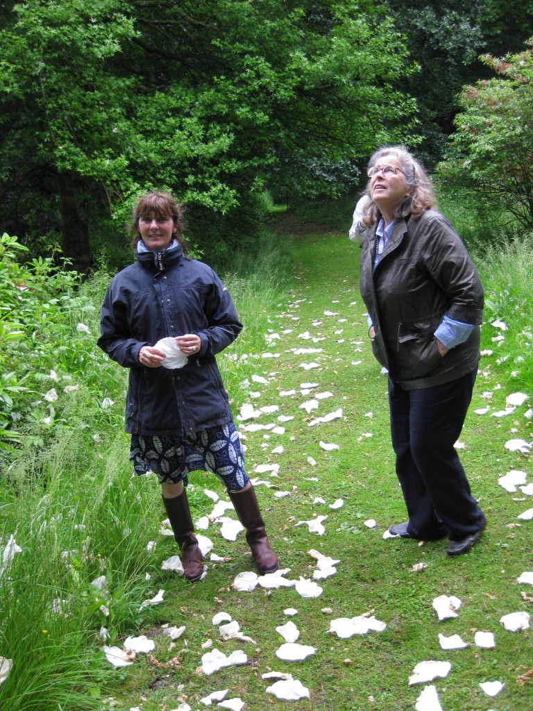 a flurry of doves or handkerchiefs!