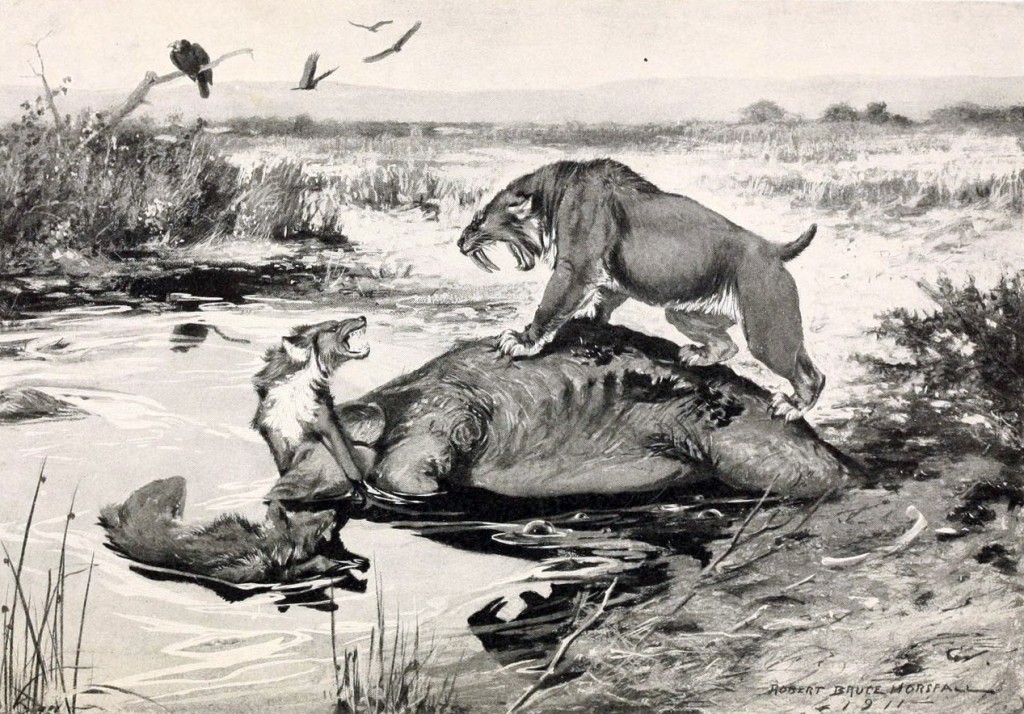 Smilodon_and_Canis_dirus