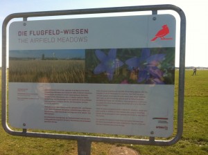 airfield meadows