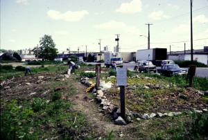 building the garden