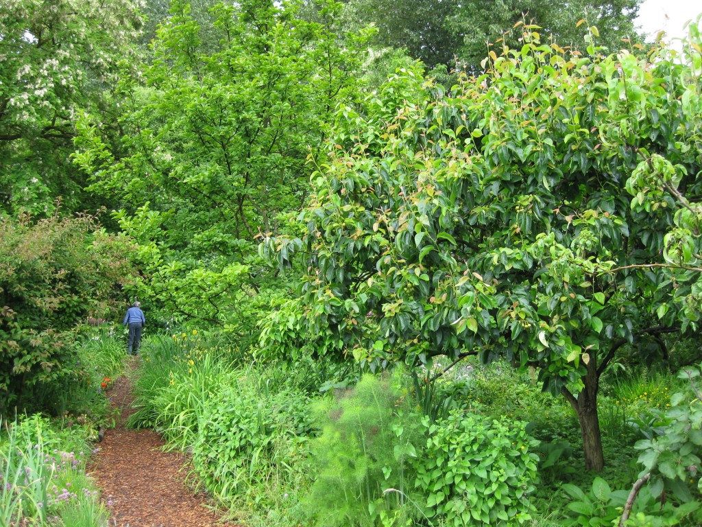 a green oasis