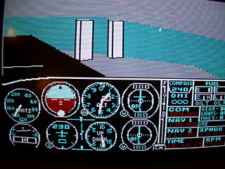 flight  sim image