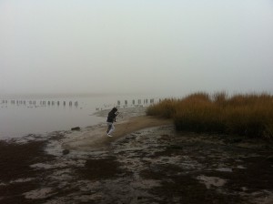 salt marsh